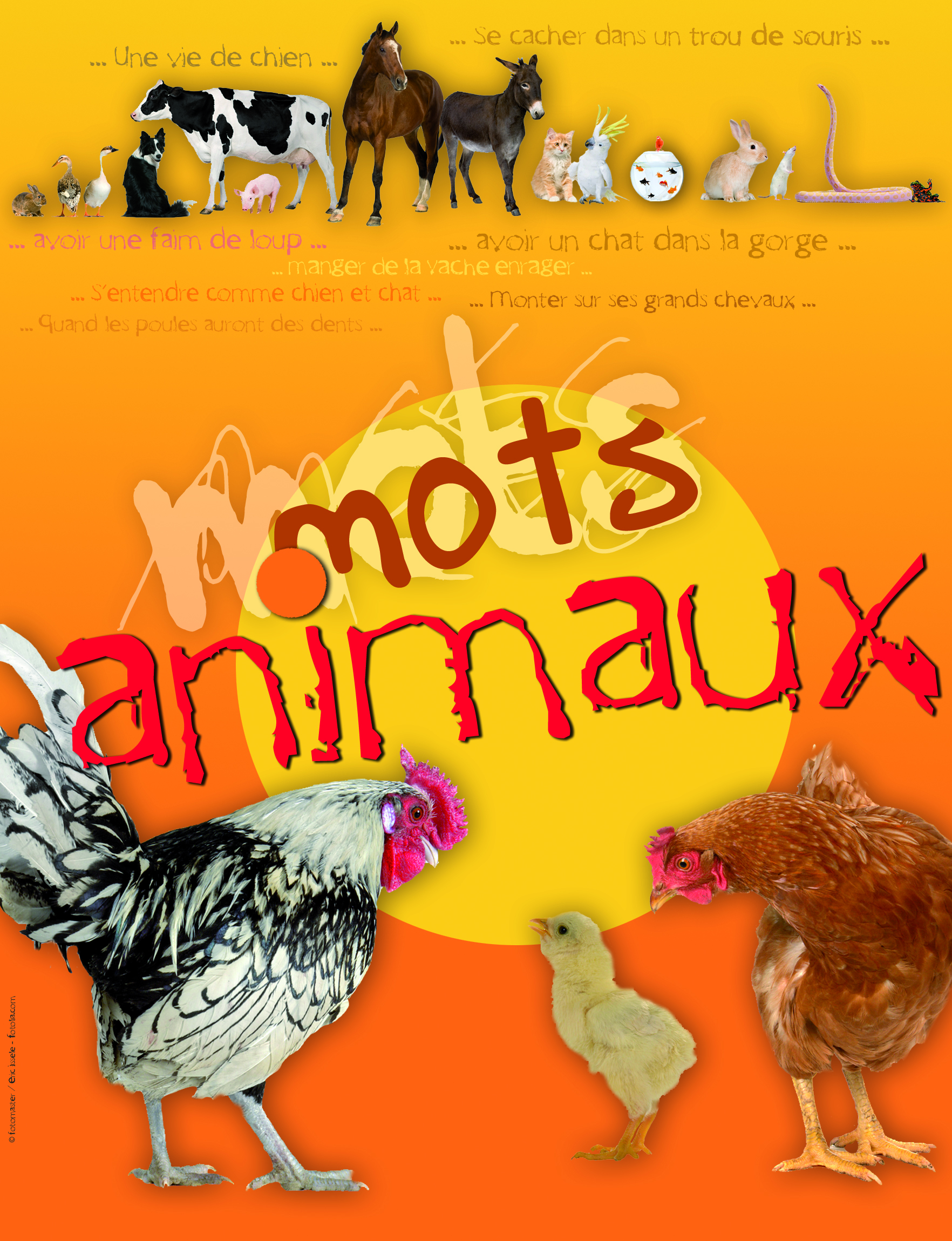 Mots animaux.jpg